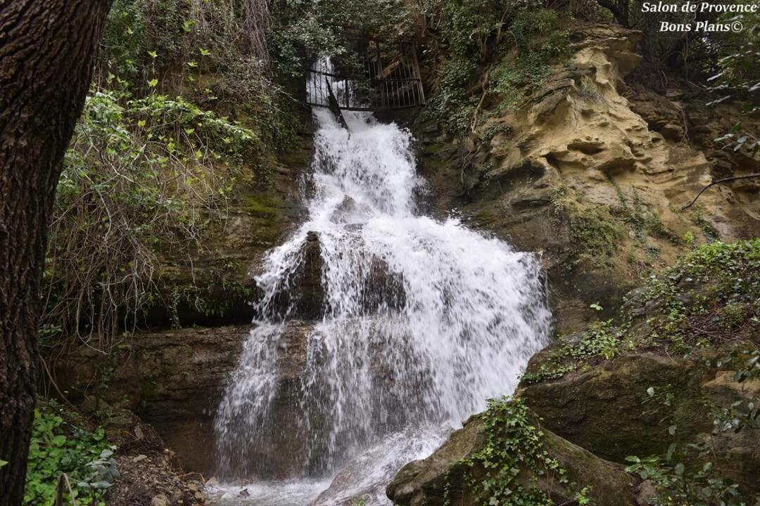 La Palmeraie Istres Exteriör bild