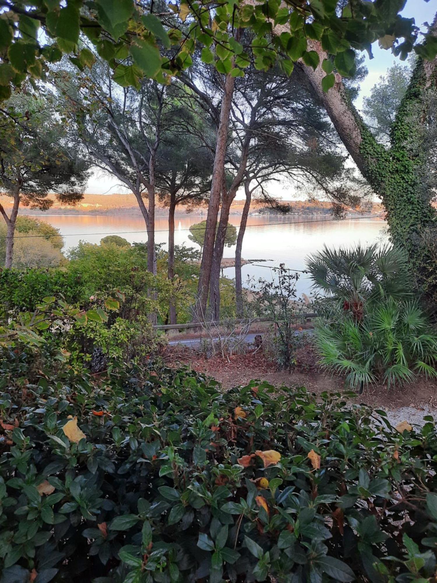 La Palmeraie Istres Exteriör bild